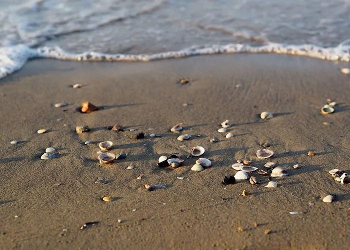Seafront View In Bibione-beahost Apartmán *