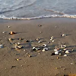 Seafront View In Bibione-beahost Apartment *