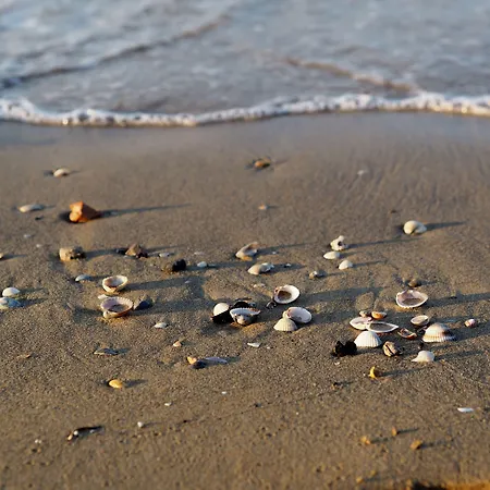 Seafront View In Bibione-beahost Διαμέρισμα *